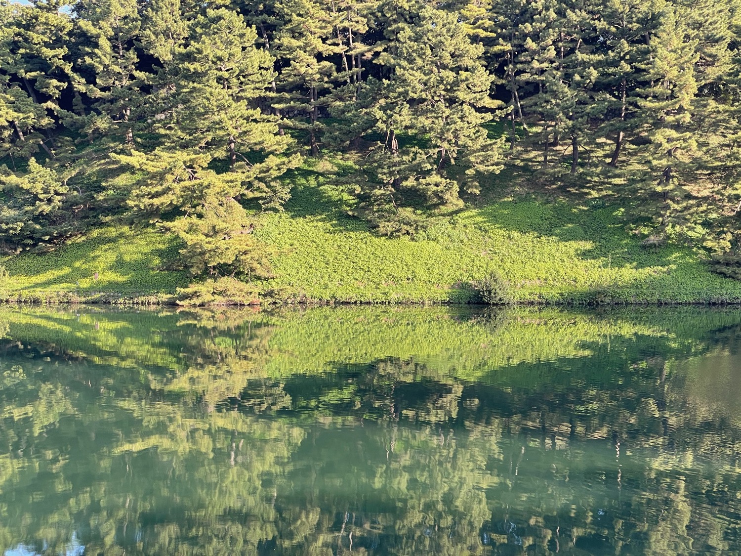 千鳥ヶ淵